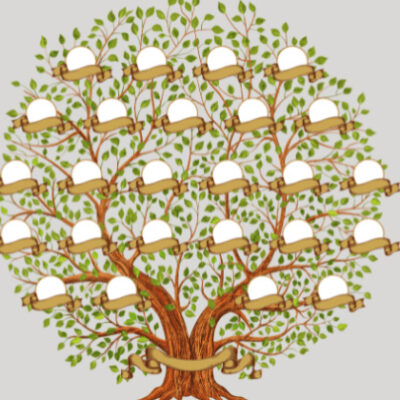 Discover Your Family Tree